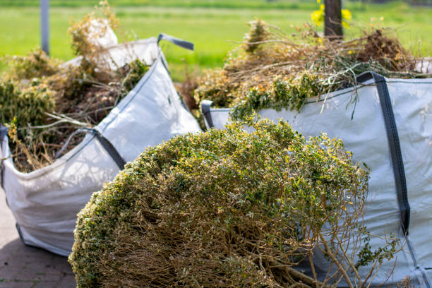 Best Office Junk Removal  in Ferndale, CA
