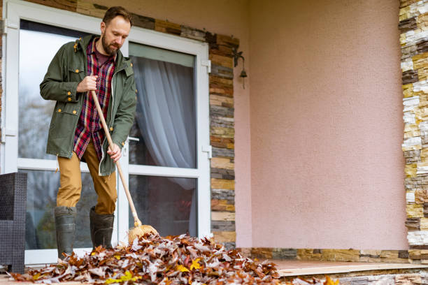 Best Estate Cleanout Services  in Ferndale, CA